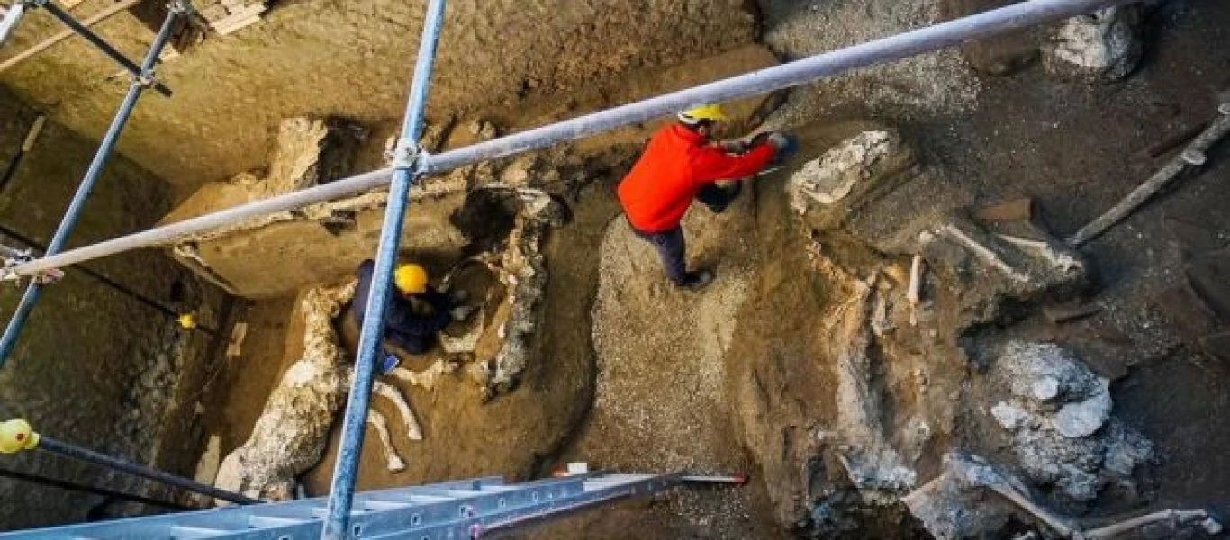 Πομπηία: Αρχαιολογική σκαπάνη έφερε στο φως απολιθωμένο άλογο (φωτο)